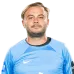 მიხეილ ჯიშკარიანი